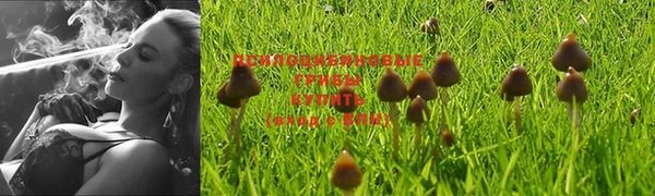 марки nbome Алексеевка