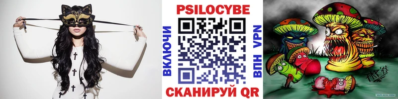 продажа наркотиков  Сасово  Галлюциногенные грибы Psilocybe 